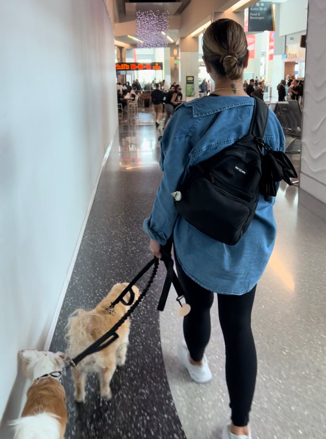 Dog walking outlet backpack