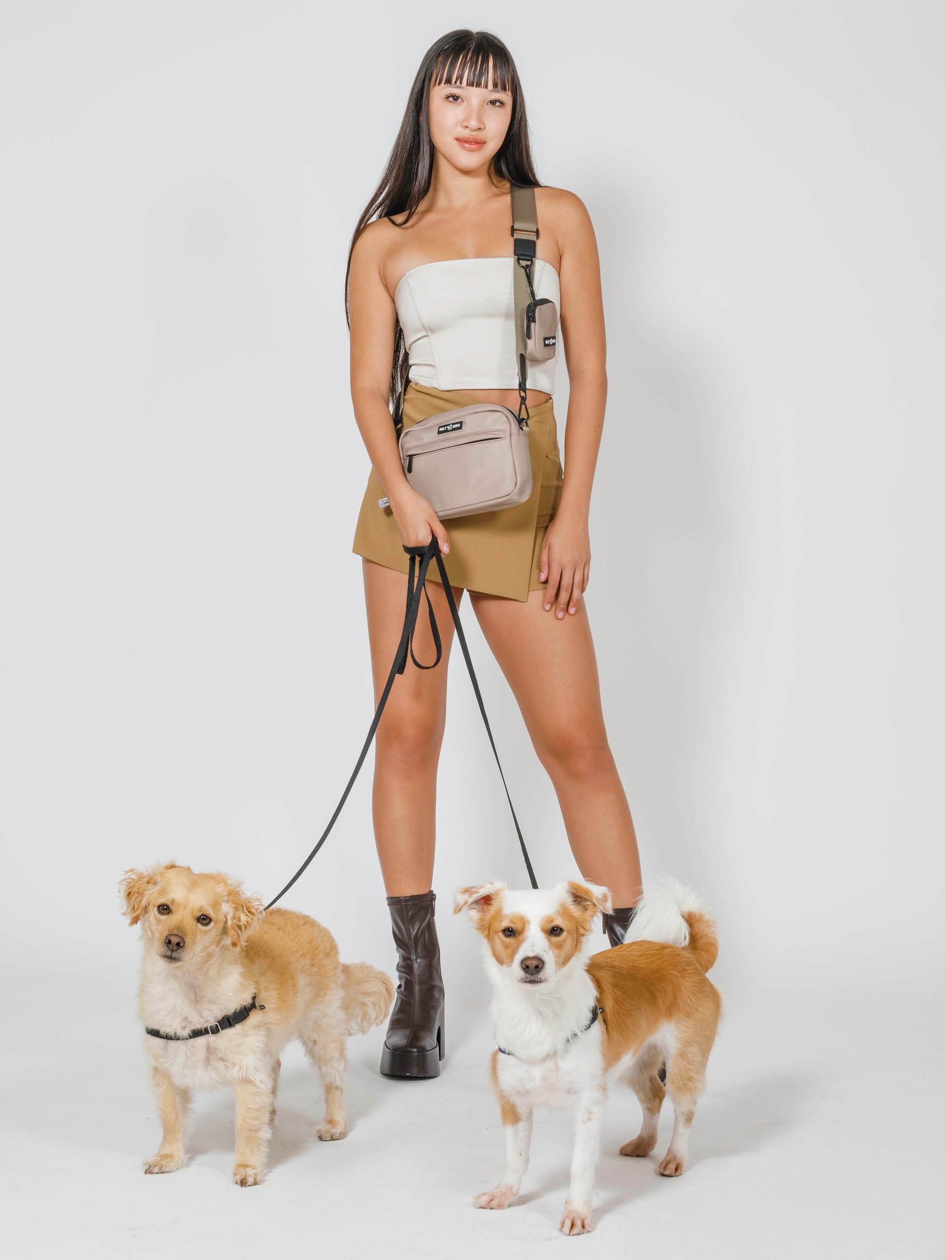 Taupe leash - Taupe leash for dogs
